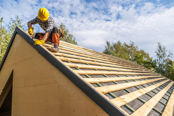 Best Roof Waterproofing Services  in Lincoln Park, MI
