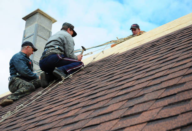 Roof Waterproofing Services in Lincoln Park, MI